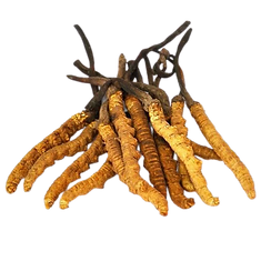 1(2).png