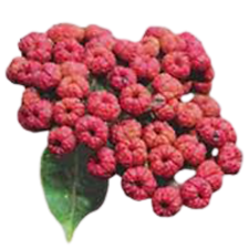 2(2).png