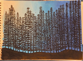 Trees