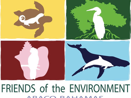 FRIENDS Shares Concern About Proposed Amendments to The Bahamas' Environmental Impact Assessment Regulations