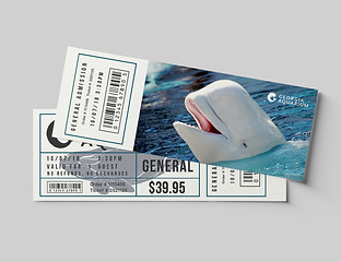 Ticket Mockups 01.jpg