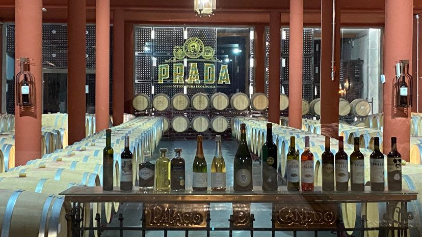Thumbnail: Prada Seleccion