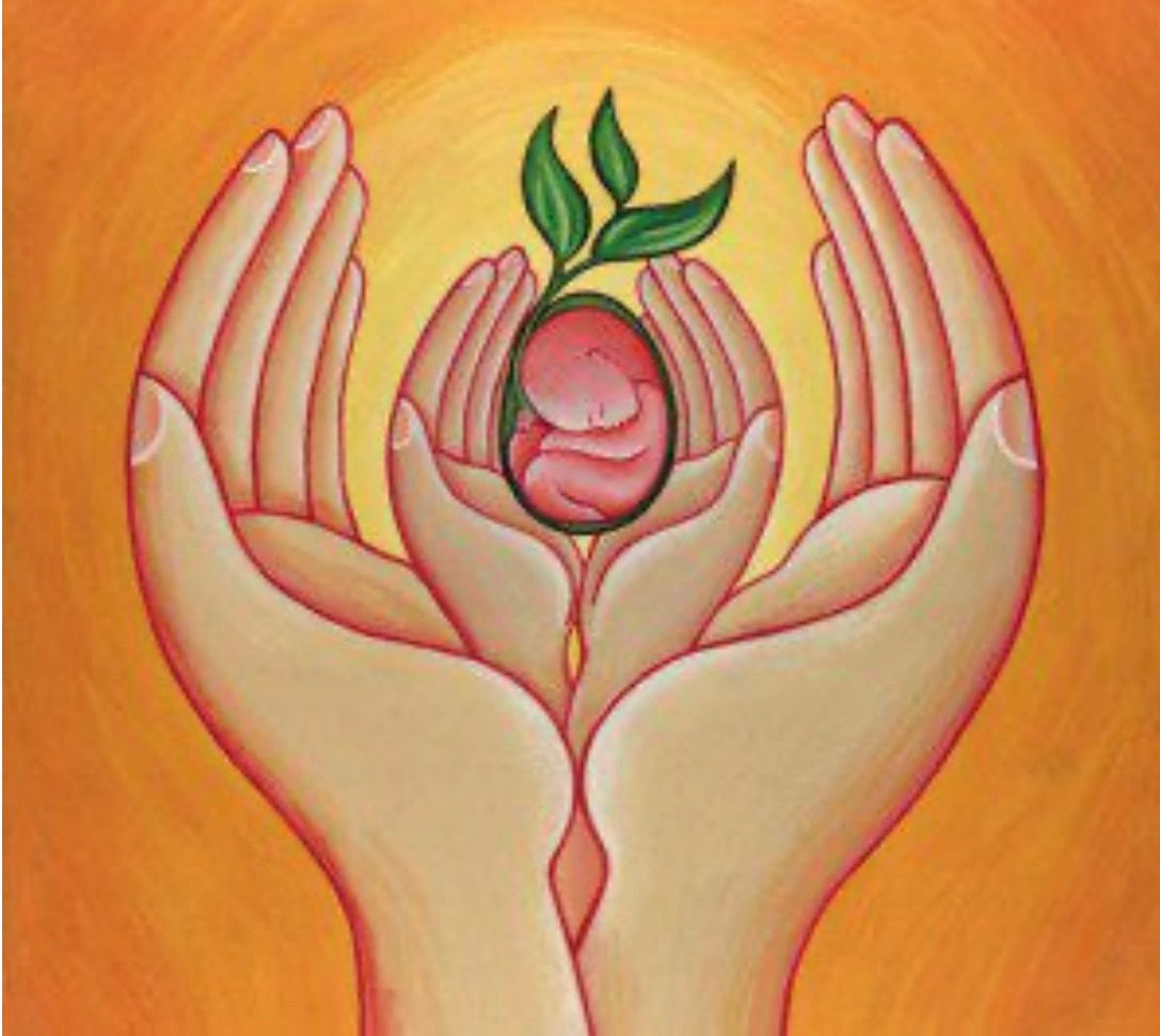 Fertility Full Course