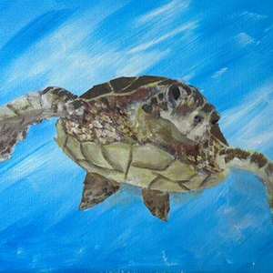 Gliding Through Time