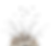86985e293ac1e627c690d21cec6105e4_edited.png