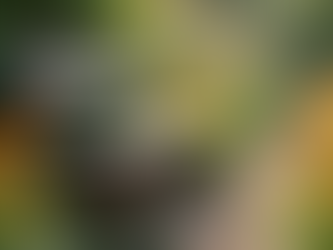 Why Rustic Oak Outdoor Seating Is the Perfect Choice for Your Garden