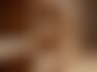 Choosing the Perfect Rustic Oak Bookcase