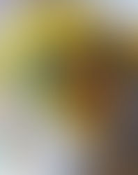 Honouring where you're at