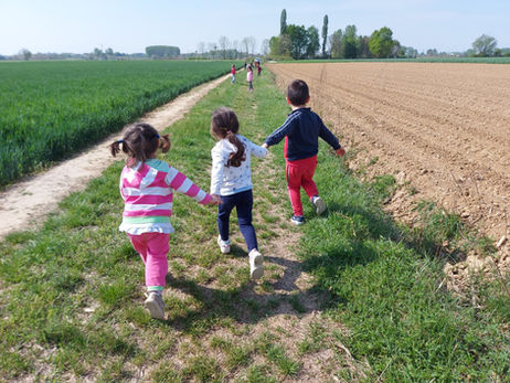 COSA È SUCCESSO IN QUESTE SETTIMANE?