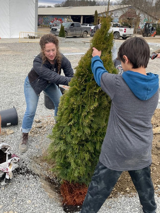 people planting a tree