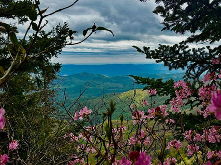 Blue Ridge Mountains
