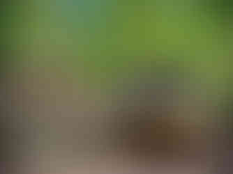 two people with a wood turtle sculpture