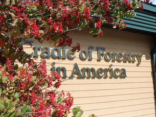 cradle of forestry sign