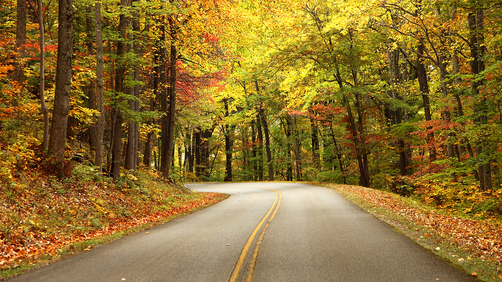 Untitled design (2).png