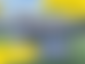 Успішний старт Першої ліги