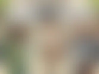 Você sabe o que significa “lobby”? É legal? É ético?