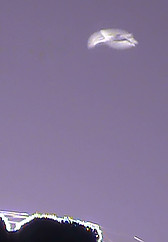Invisible biological UFO filmed using an X-Nite 330nm UV pass filter. questfortheinvisibles.co.uk