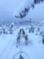Knik 100 