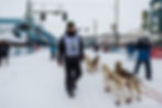 Iditarod LIV