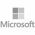 250x250 MS LOGO_edited.jpg