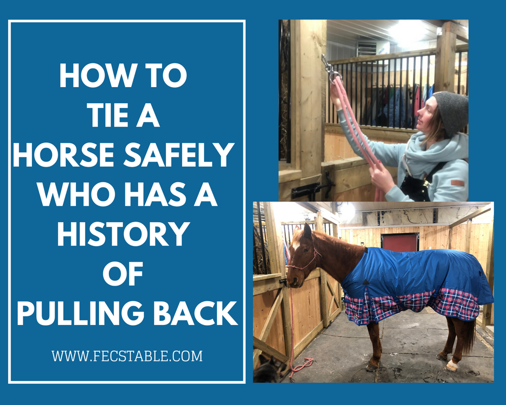 How to Safely Tie a Horse that Pulls Back when Tied