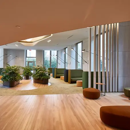 Top Skills to Look for in a Commercial Carpenter Contractor