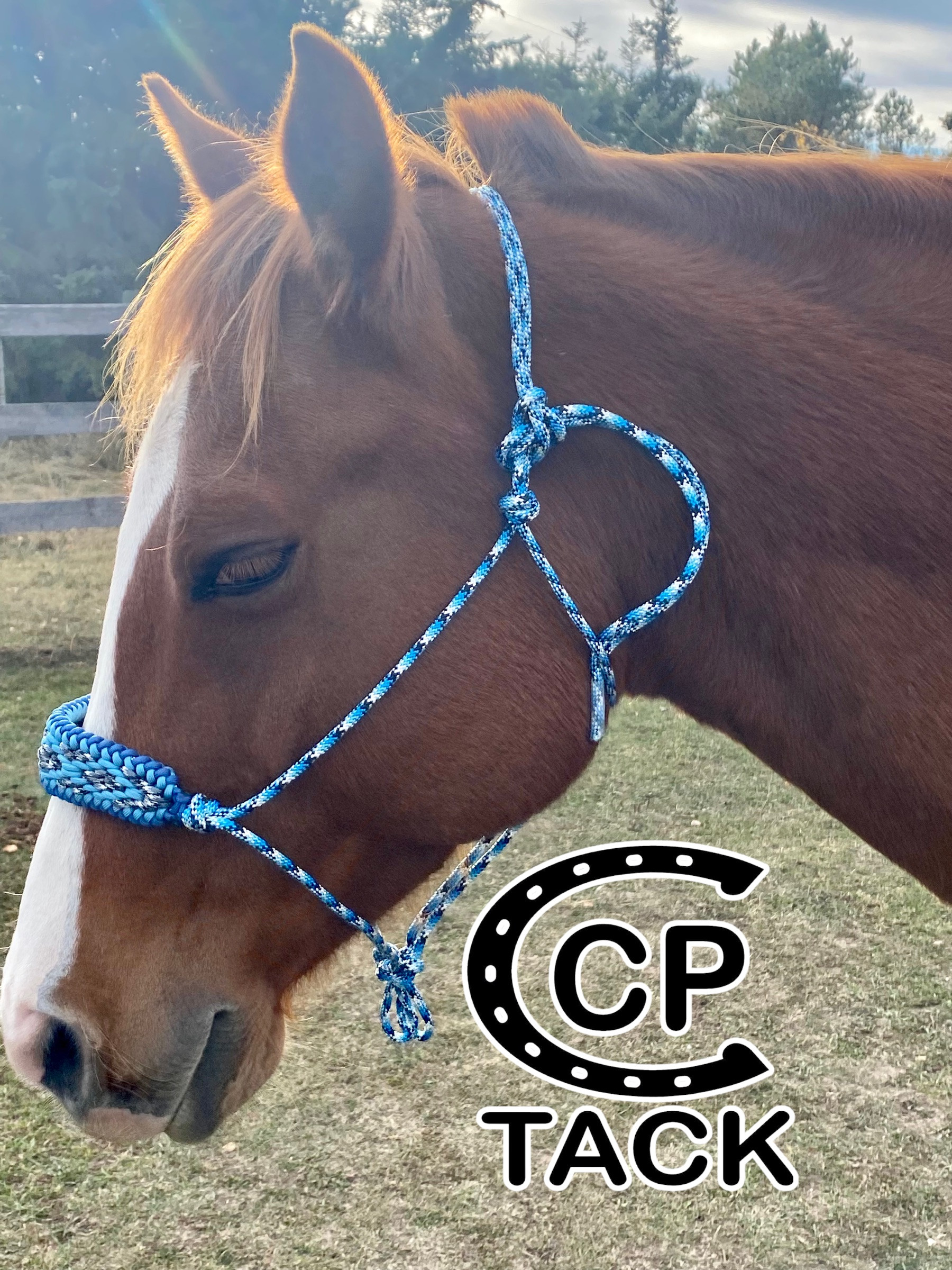 Huckapoos Rope Rope Halters & Loping Hackamores | CP Custom Tack site