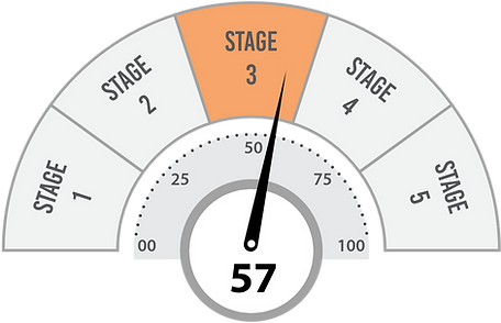 Stages Gauge.png