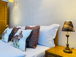 Doina Bucovinei Double Room with Balcony