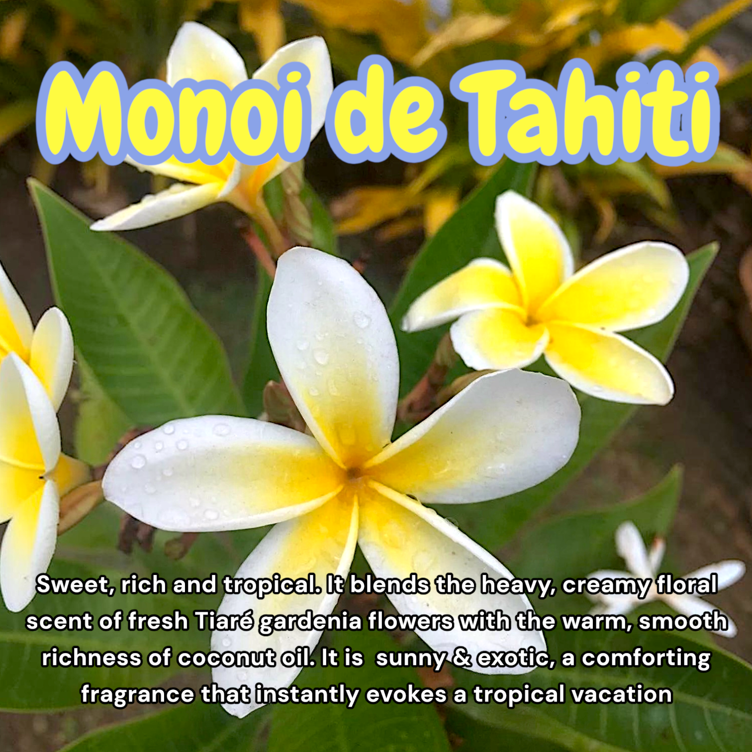 Monoi de Tahiti