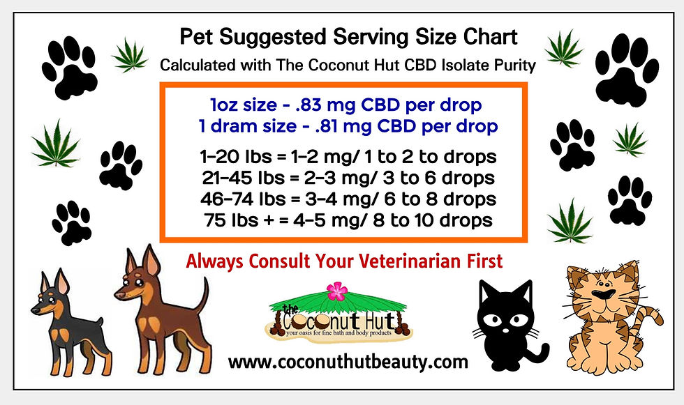 Thumbnail: CBD Oil Drops For Pets