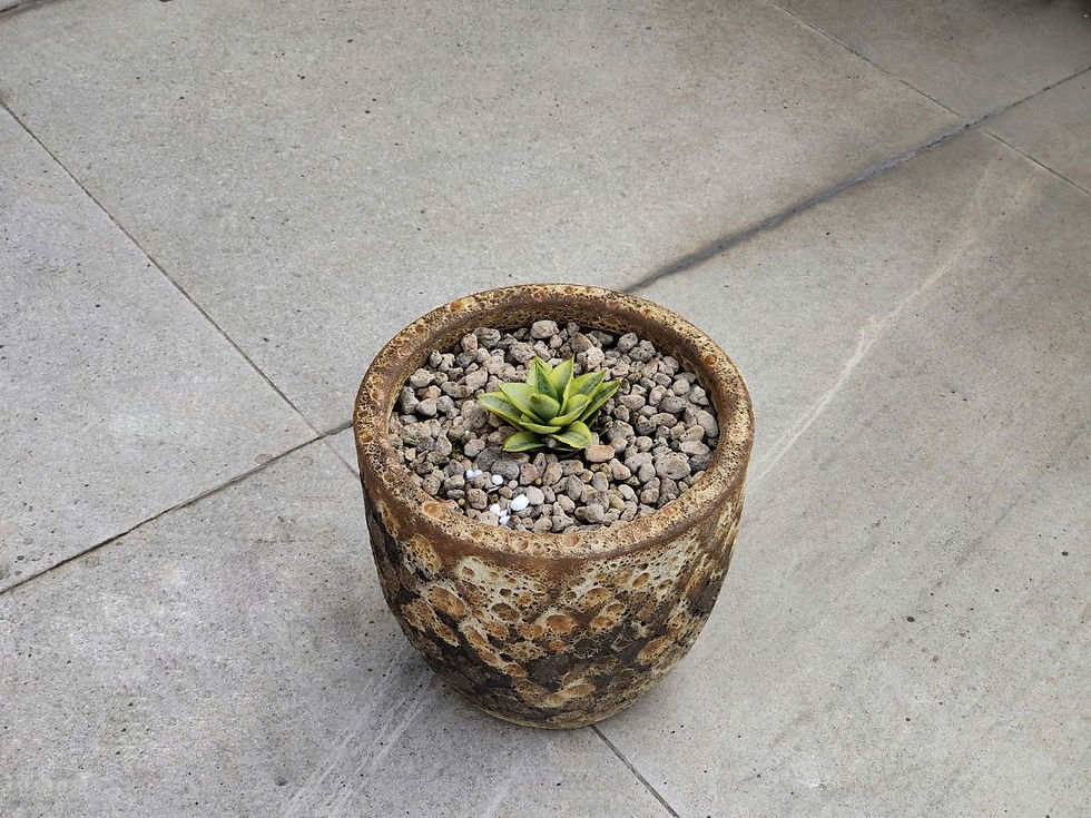 Mảng sắc tố khác biệt vừa nhỏ gọn phù hợp cho các vị trí bàn làm việc, bàn trà.
