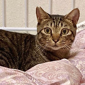 IMG_6156 2_edited.jpg