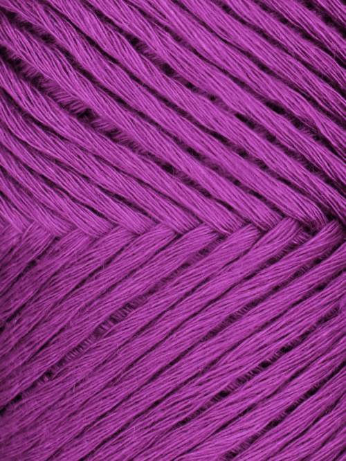 Myrtle Boysenberry 22