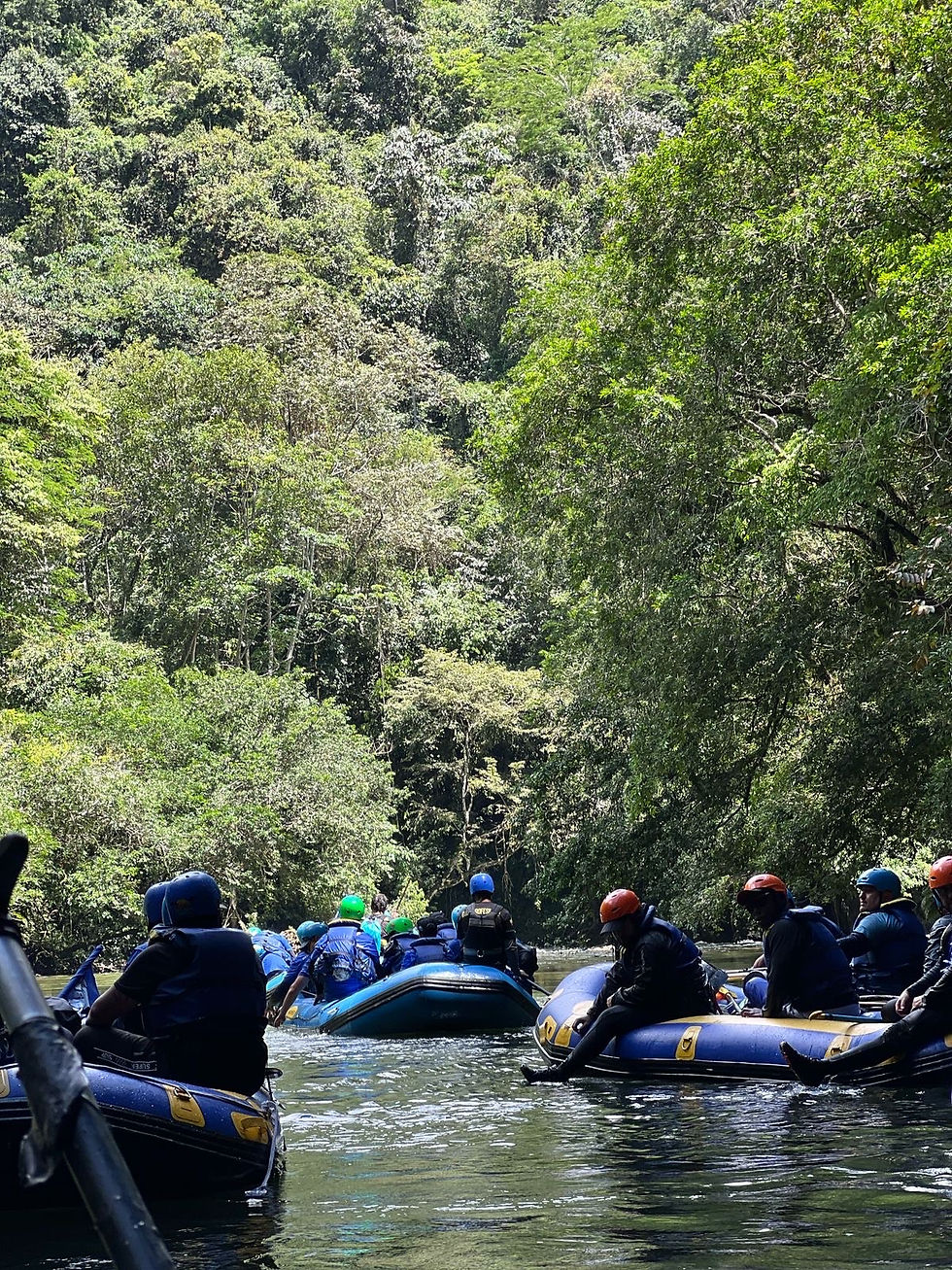 ca6c93e2-6ab7-4815-b02f-7cde6a50a110