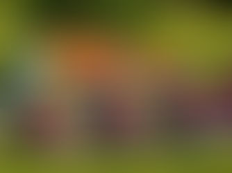 Discovering Lumbini: A Spiritual Journey Through the Birthplace of Buddha