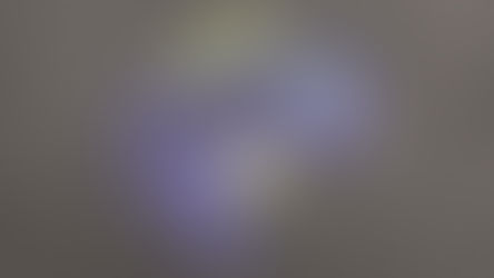 Review: The Split at the Old 505