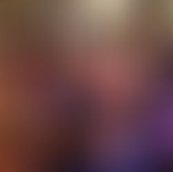 Review: A Bucket of Beetles at the Seymour Centre