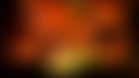 Review: Natives Go Wild at the Sydney Opera House