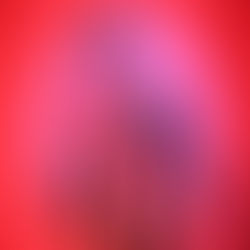 Review: ROAR at Prompt Creative Centre - ADL Fringe