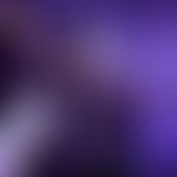 Review: Eclipse at Melbourne Town Hall