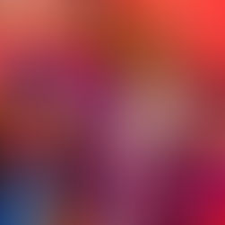 Review: Priscilla, Queen of the Desert at the Regal Theatre