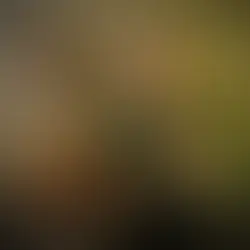 Review: Little Sketch Book of Horrors at The Butterfly Club - Melb Fringe