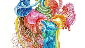 Review: Donor at The Motley Bauhaus - Melb Fringe