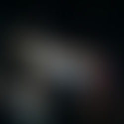 Review: The Pigeons at KXT on Broadway