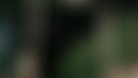 Review: ‘The Haunting’ at Donbank Museum