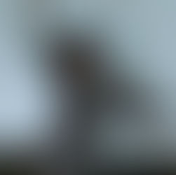 Review: Stuck in Freefall at Zoo Playground 1 - Ed Fringe