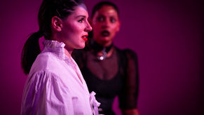 Review: HAMLET IN THE OTHER ROOM at the Rumpus Theatre