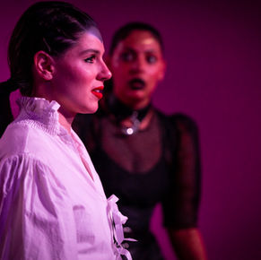 Review: HAMLET IN THE OTHER ROOM at the Rumpus Theatre