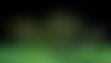 Review: Jungle Book Reimagined at Heath Ledger Theatre